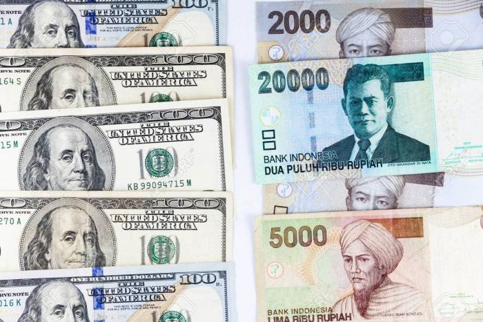 Konversi 24 Dollar Ke Rupiah Secara Akurat